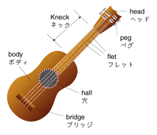 ukulele7